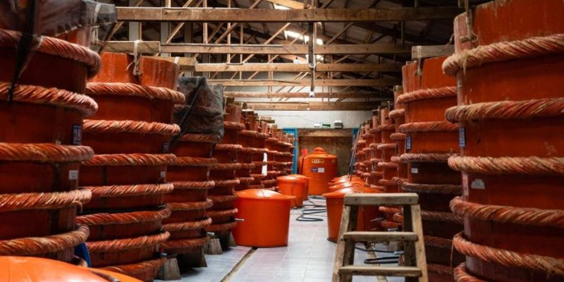 Traditional Fish Sauce Factory